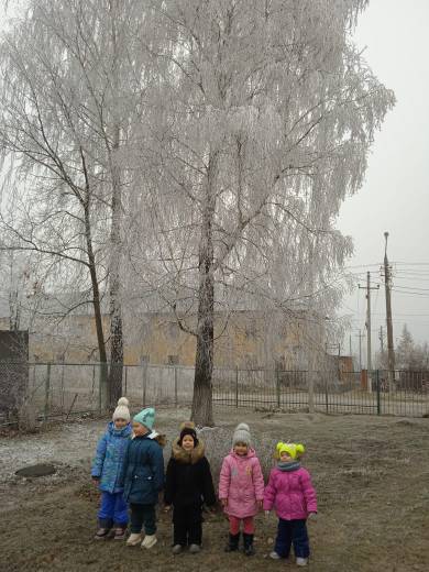 Прогулка на территории детского сада.